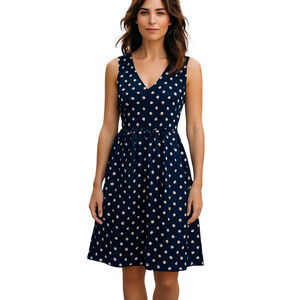 Everly Mini Dress Blue Polka Dot Fit and Flare Small